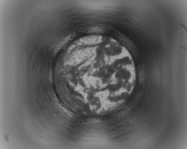 X0000100900729200807220951