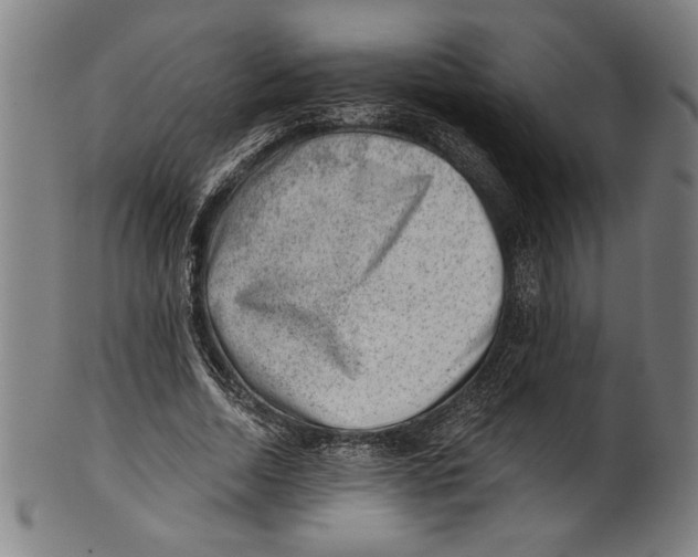 X0000100900730200807220951