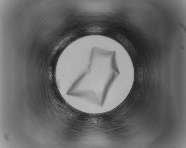 X0000100900731200807220951