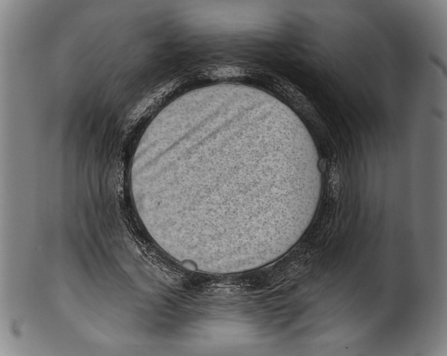 X0000100900732200807220951