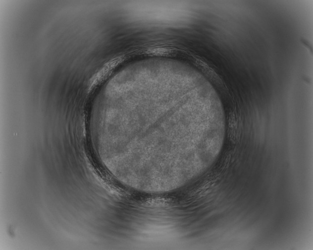 X0000100900734200807220951