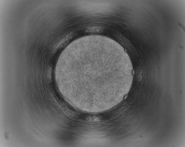 X0000100900735200807220951