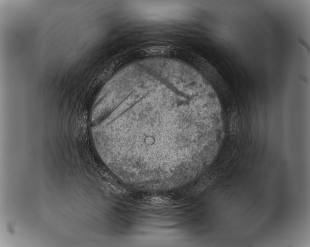 X0000100900737200807220951