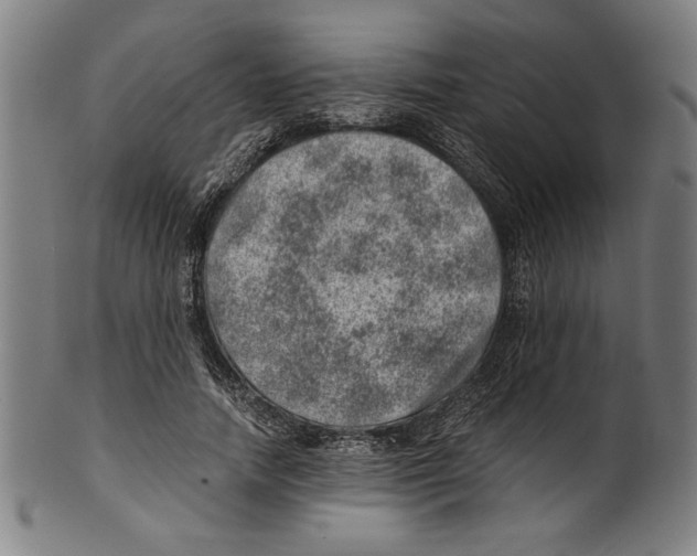 X0000100900738200807220951