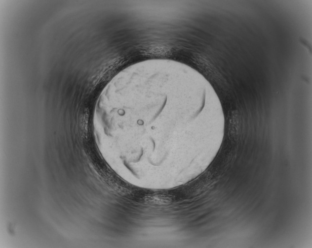 X0000100900739200807220951