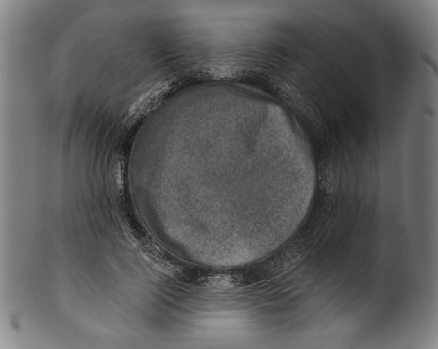 X0000100900740200807220951