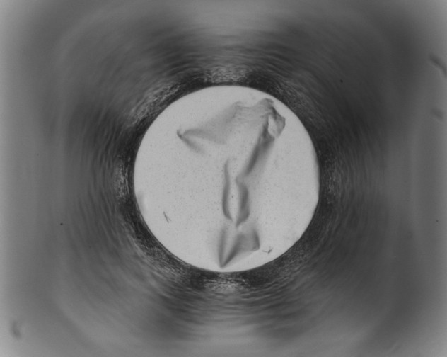 X0000100900743200807220951