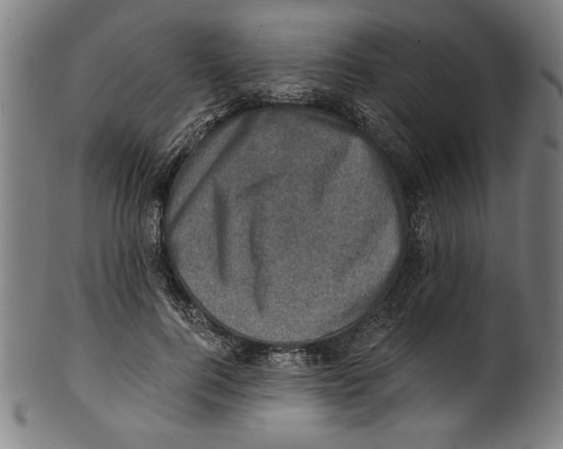 X0000100900744200807220951