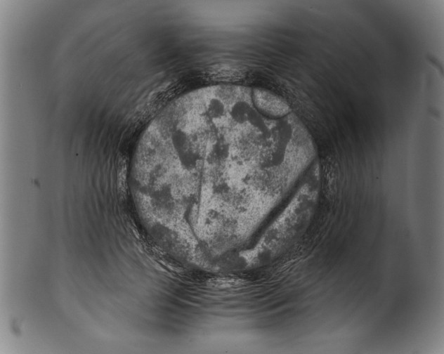 X0000100900745200807220951