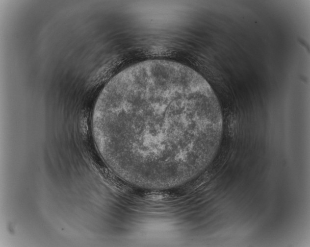 X0000100900746200807220951