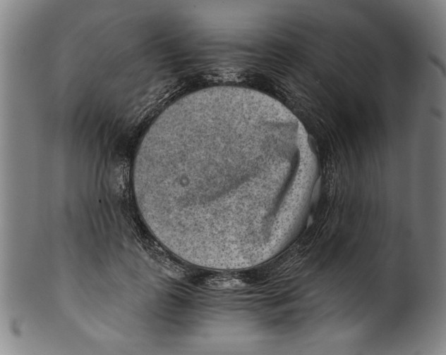 X0000100900747200807220951