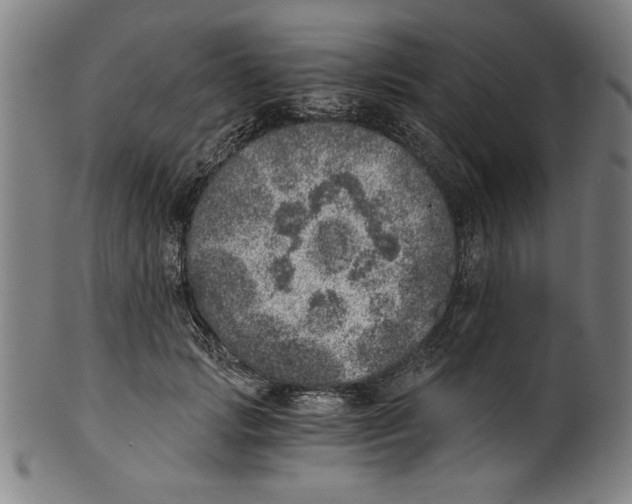 X0000100900749200807220951