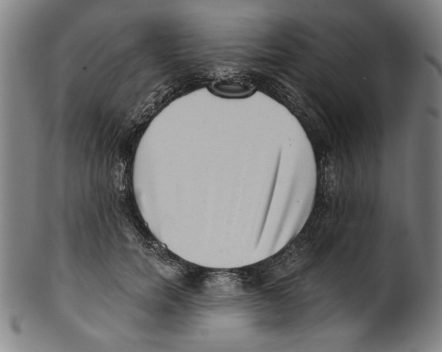 X0000100900750200807220951