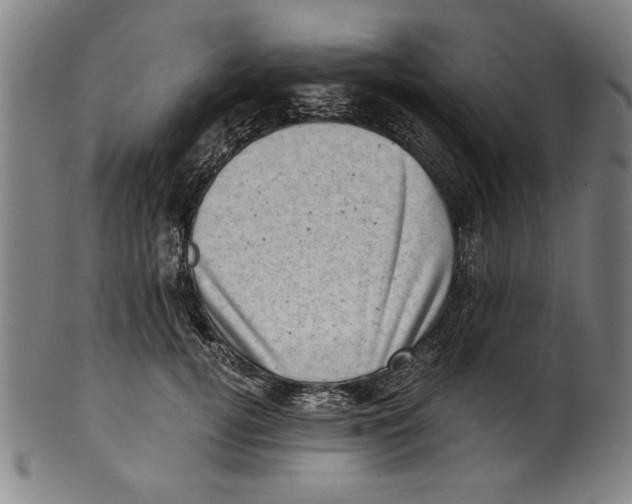 X0000100900752200807220951