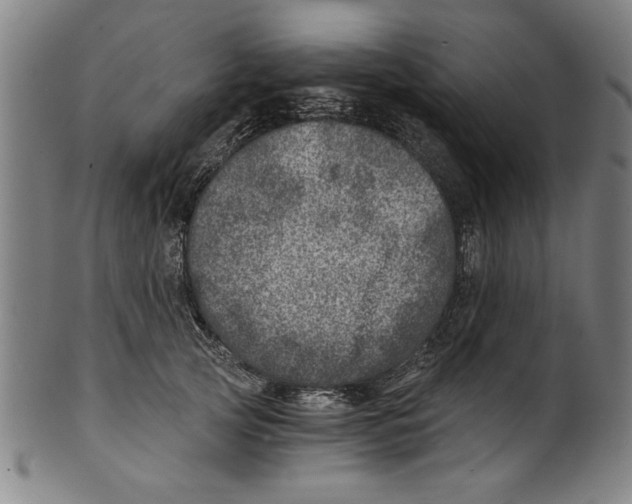 X0000100900753200807220951