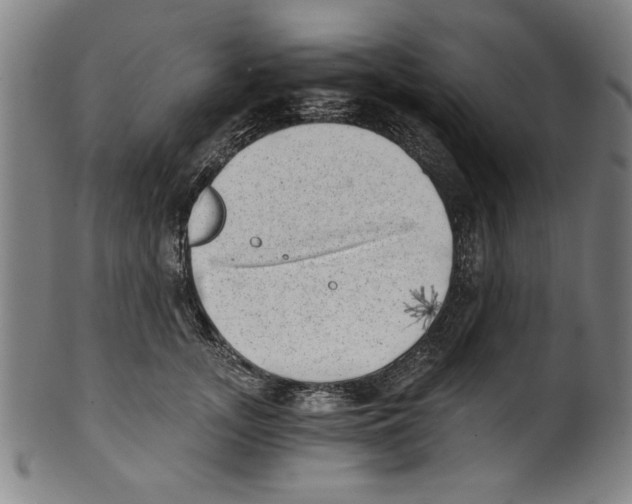 X0000100900755200807220951