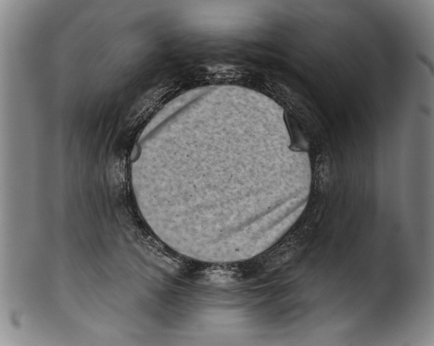 X0000100900756200807220951