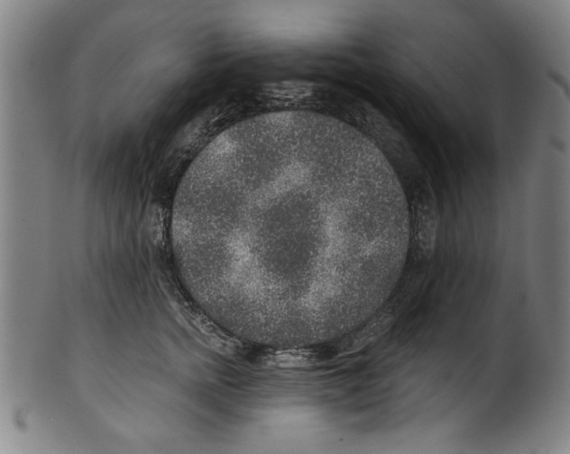 X0000100900758200807220951