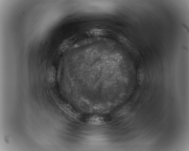 X0000100900760200807220951