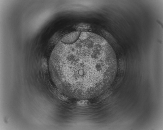 X0000100900761200807220951