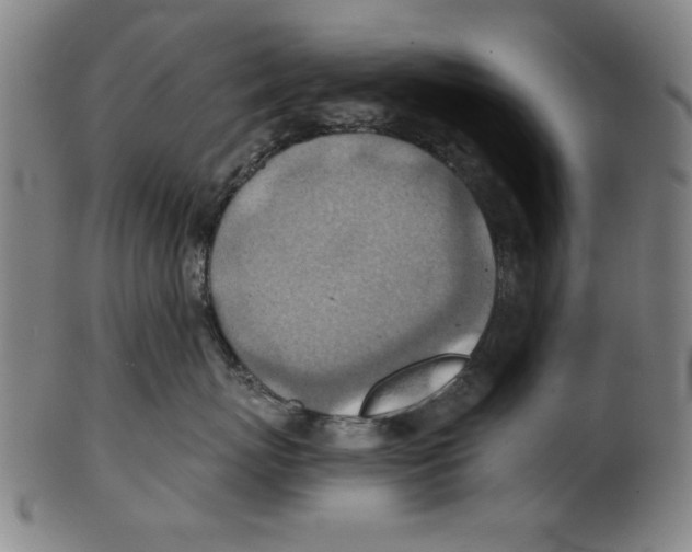 X0000100900767200807220951