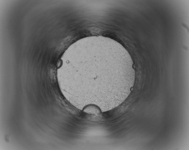 X0000100900768200807220951