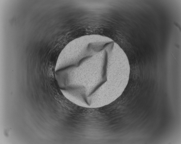 X0000100900770200807220951