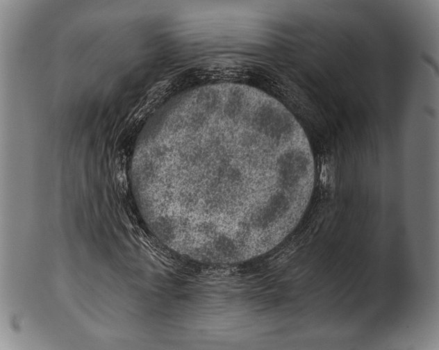 X0000100900771200807220951