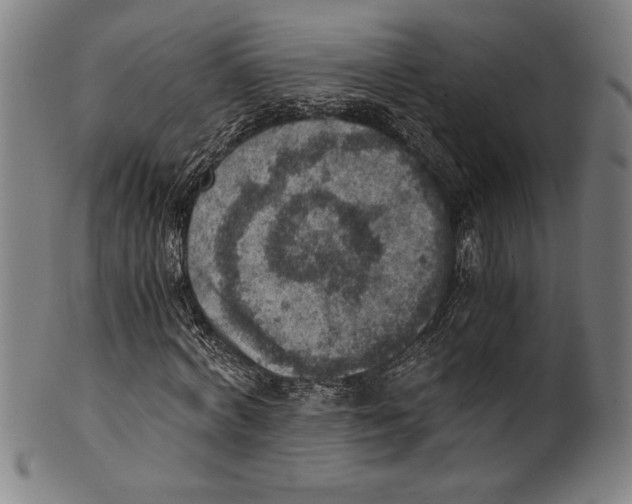 X0000100900772200807220951