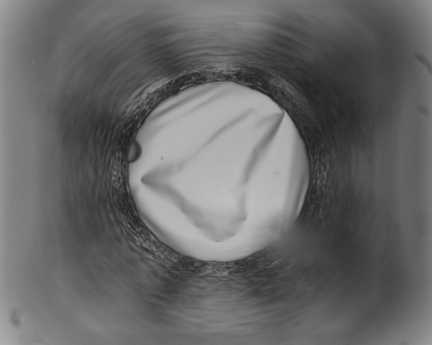 X0000100900773200807220951