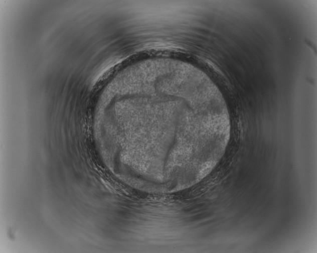 X0000100900775200807220951