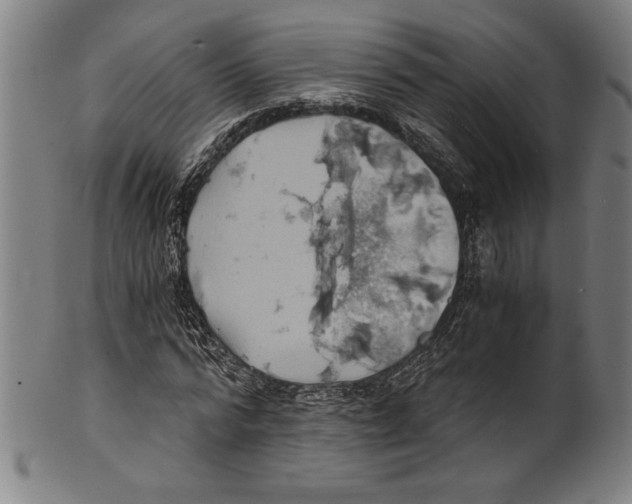 X0000100900776200807220951