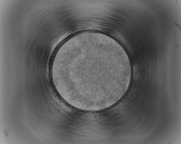 X0000100900780200807220950