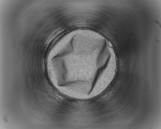 X0000100900782200807220950