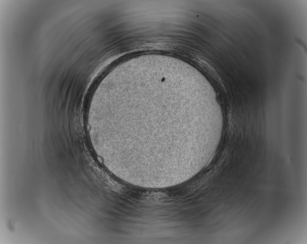 X0000100900784200807220950