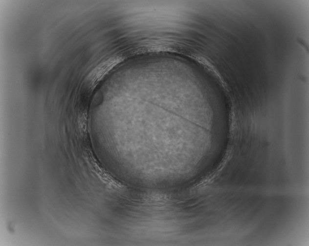 X0000100900785200807220950