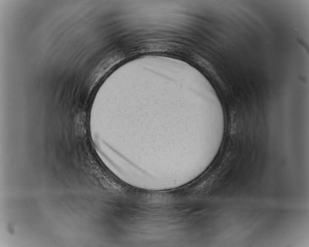 X0000100900786200807220950