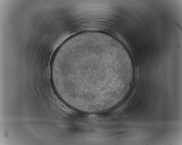 X0000100900787200807220950