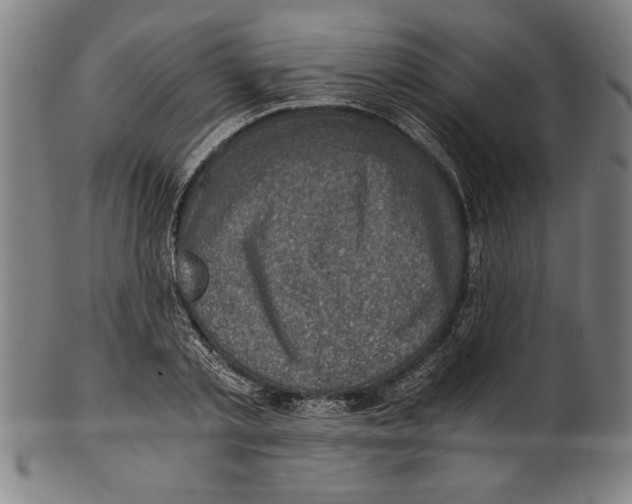 X0000100900789200807220950