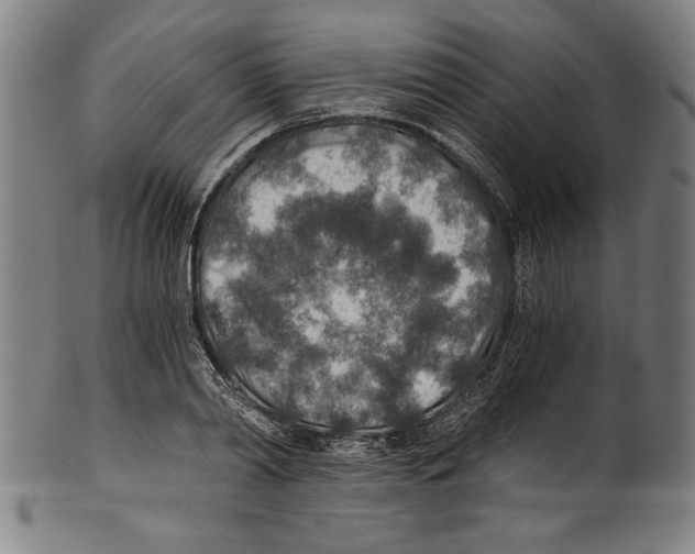 X0000100900790200807220950