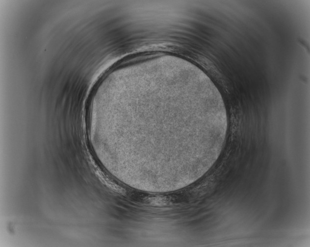 X0000100900792200807220950