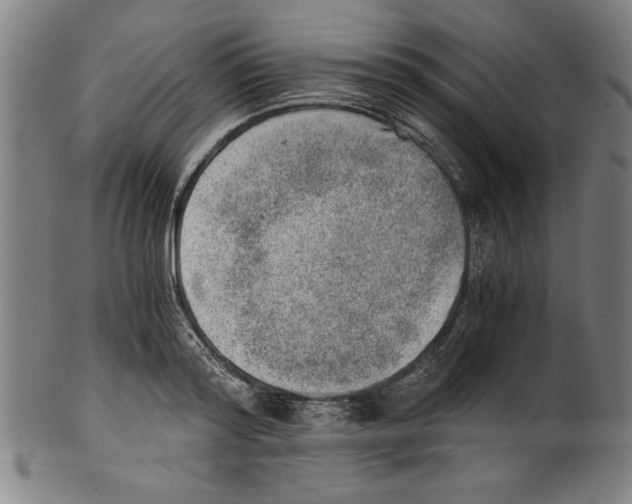 X0000100900796200807220950