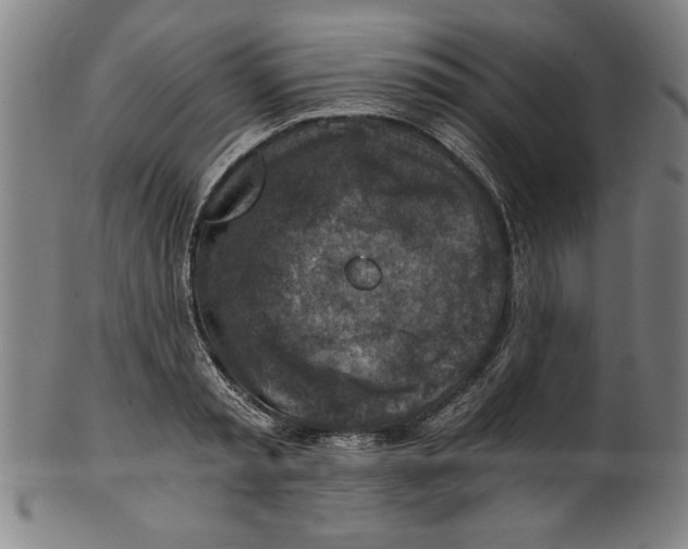 X0000100900797200807220950