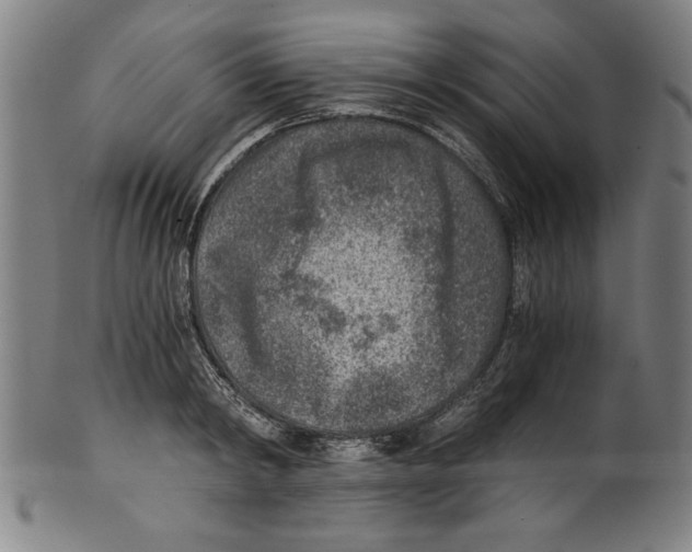 X0000100900798200807220950