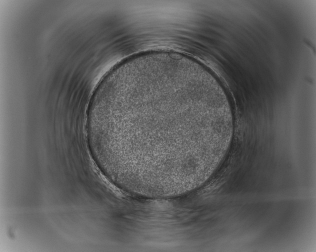 X0000100900799200807220950