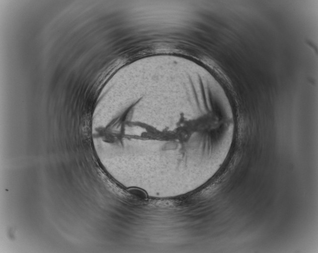 X0000100900801200807220950