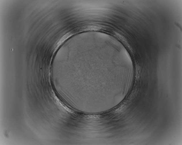 X0000100900802200807220950