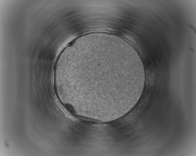 X0000100900804200807220950