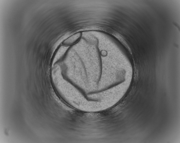 X0000100900805200807220950