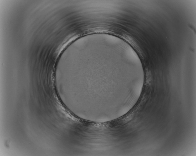 X0000100900806200807220950